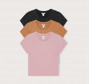 Organic Basics ORGANIC COTTON Core Baby Tee 3-pack Zwart Roze | 30514-QNZW