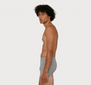 Organic Basics ORGANIC COTTON True Rib Boxers 2-pack Grijs | 75032-DYZI