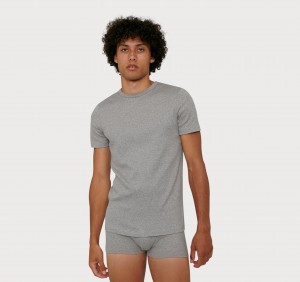 Organic Basics ORGANIC COTTON True Rib Tee Grijs | 26479-ZRMC