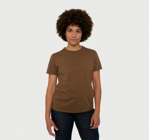 Organic Basics ORGANIC COTTON True Tee TerraToned Wood | 96125-YCTP