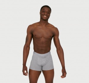 Organic Basics TENCEL™ LYOCELL Soft Touch Boxers 2-Pack Grijs | 13246-YAGP