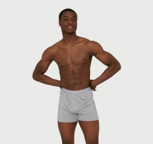 Organic Basics TENCEL™ LYOCELL Soft Touch Boxer Shorts 2-pack Grijs | 16052-CZWH