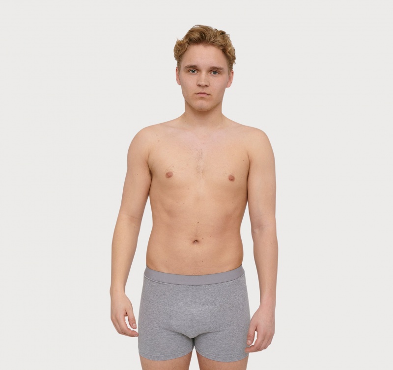 Organic Basics ORGANIC COTTON Core Boxers 2-pack Grijs | 34709-SYWQ