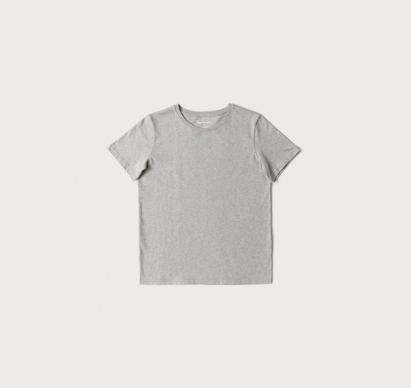 Organic Basics ORGANIC COTTON True Tee Grijs | 18632-JPAW