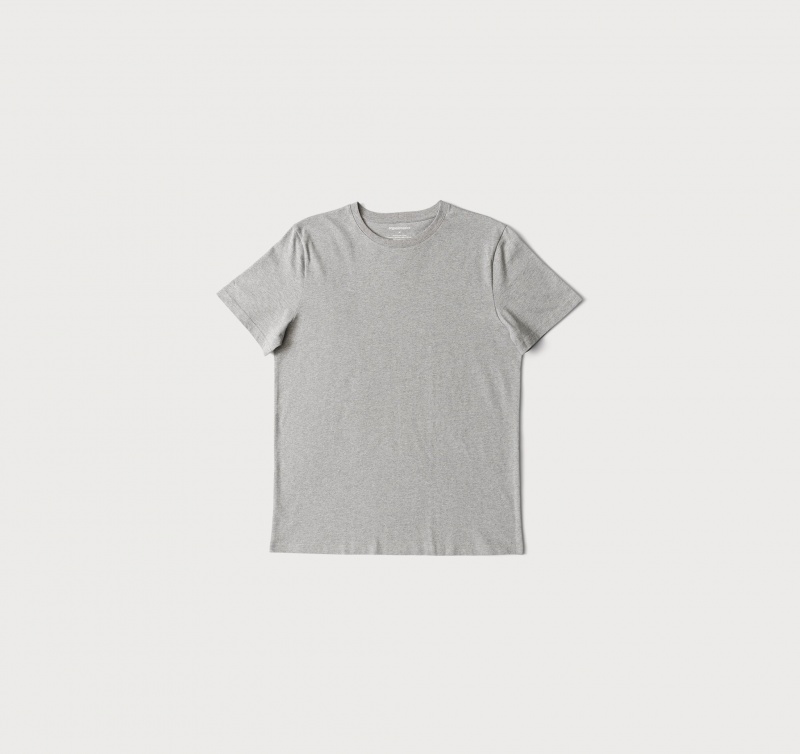 Organic Basics ORGANIC COTTON True Tee Grijs | 41023-OAJM