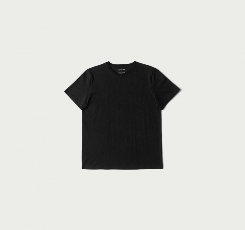 Organic Basics ORGANIC COTTON True Tee Grijs | 96172-YMIW