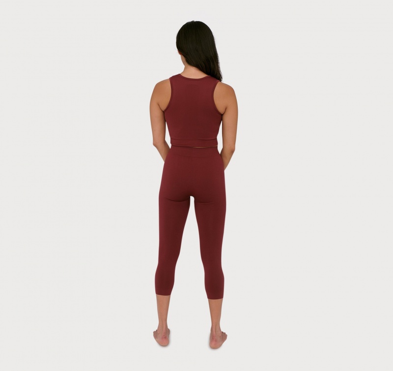 Organic Basics RECYCLED NYLON Active 3/4 Leggings Bordeaux | 37802-THWY