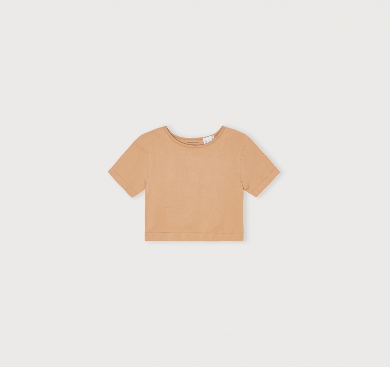 Organic Basics Recycled Nylon Smooth Crop Tee Hazelnut | 57109-GDJC