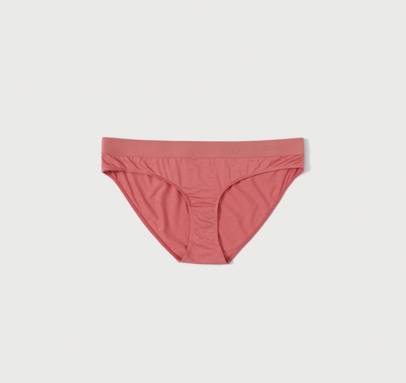 Organic Basics TENCEL™ LYOCELL Soft Touch Briefs 2-pack Cedar | 62391-FNBI