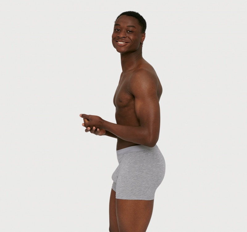 Organic Basics TENCEL™ LYOCELL Soft Touch Boxers 2-Pack Grijs | 13246-YAGP