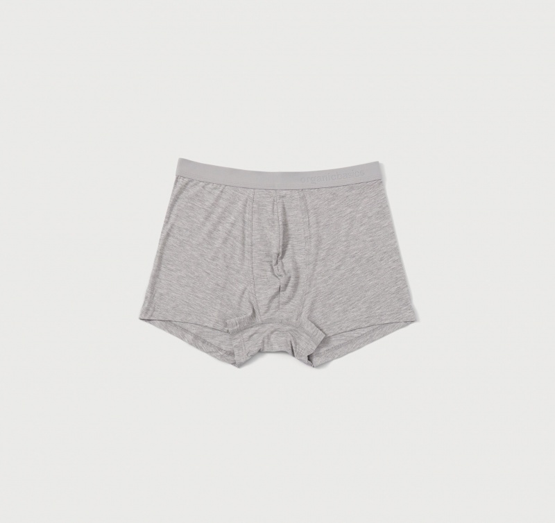 Organic Basics TENCEL™ LYOCELL Soft Touch Boxers 2-Pack Grijs | 13246-YAGP