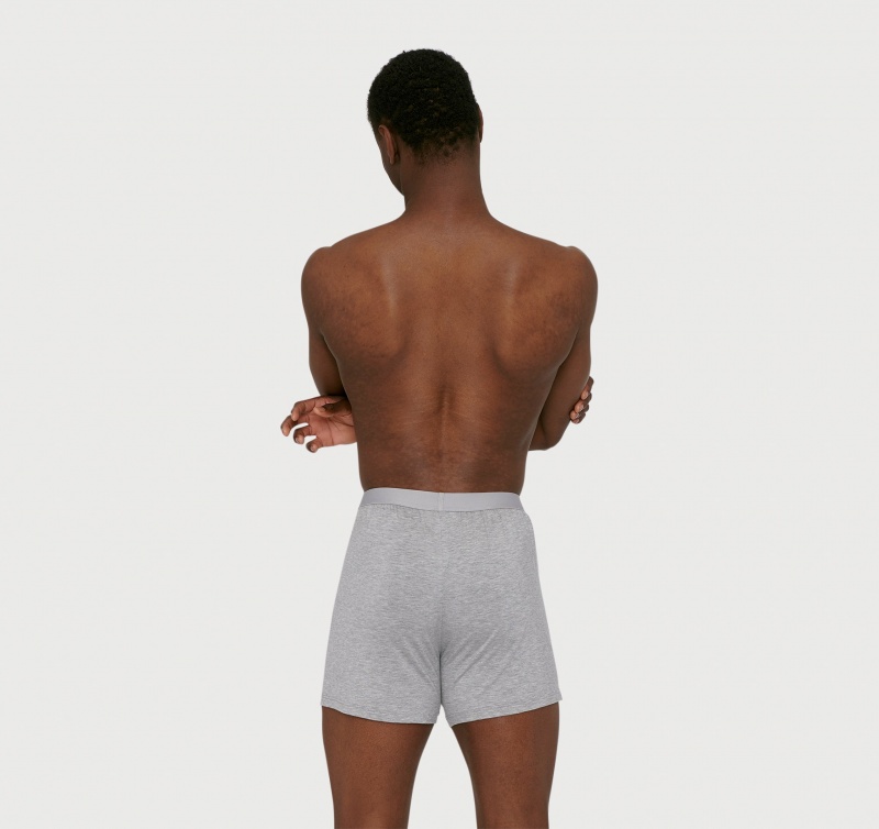 Organic Basics TENCEL™ LYOCELL Soft Touch Boxer Shorts 2-pack Grijs | 16052-CZWH