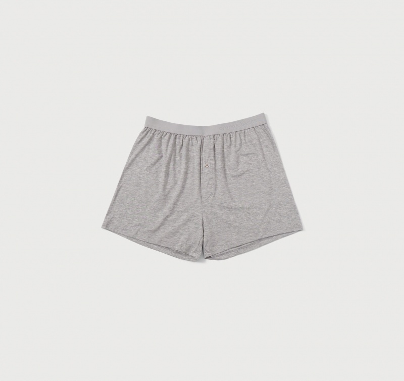 Organic Basics TENCEL™ LYOCELL Soft Touch Boxer Shorts 2-pack Grijs | 16052-CZWH